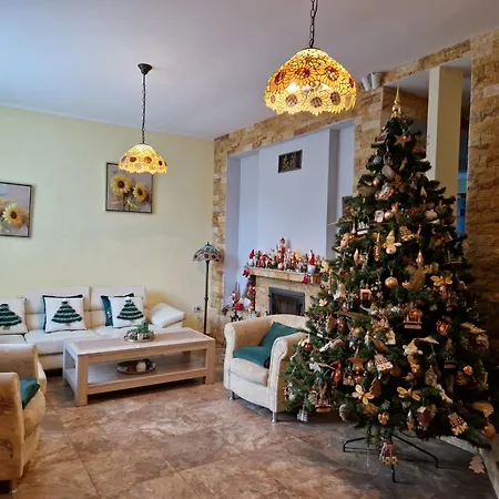Casa Alina Arpasu de Sus
