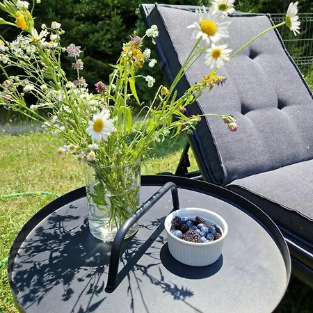 Casa Alina Holiday home *