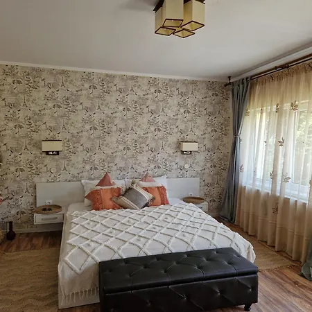 Casa Alina *