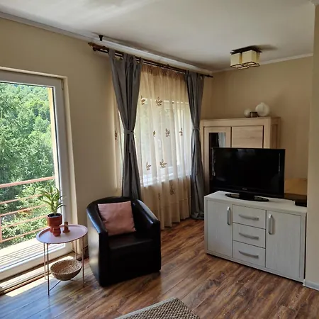 Casa Alina Arpasu de Sus