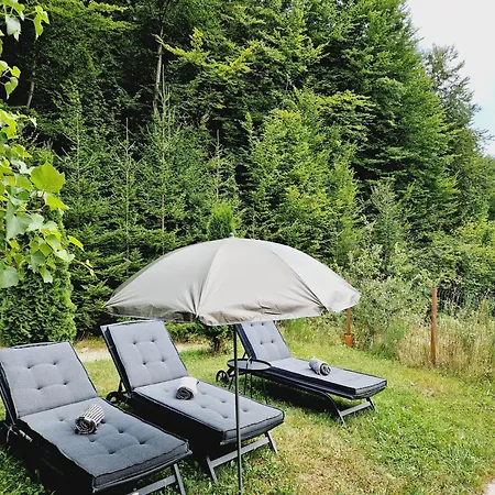 Casa Alina Holiday home Arpasu de Sus